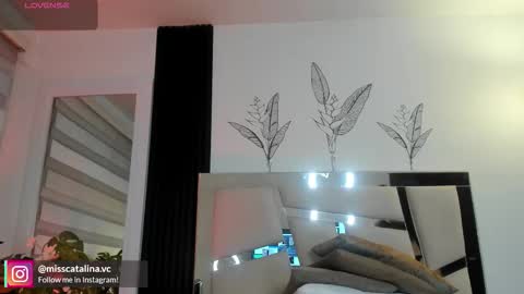 Catalina online show from March 2026 11:55:02 AM