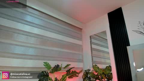 Catalina online show from April 2026 11:44:01 AM