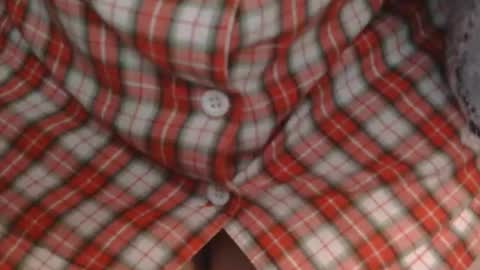 Elis online show from November 2025 04:28:01 PM