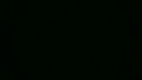 Elis online show from November 2025 03:55:01 PM