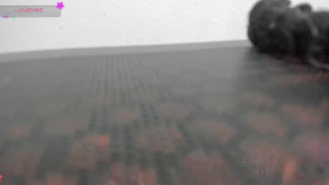 Vane online show from April 2026 11:13:02 PM