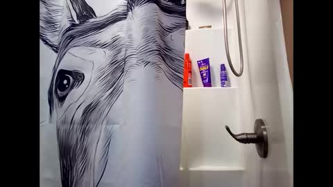 MissEeva online show from February 2025 03:10:02 AM