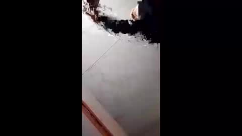 Handsome online show from February 2025 08:54:01 AM