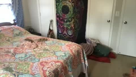 MistyVale online show from January 2025 04:48:01 PM