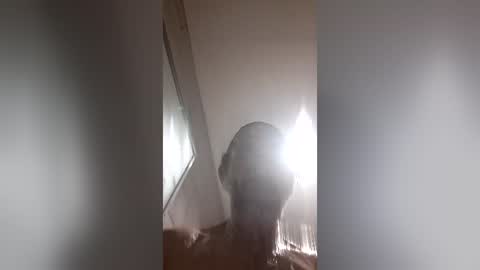 moemoe14 online show from July 2026 04:35:02 PM