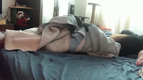 mojoe420 online show from November 2025 04:43:02 PM