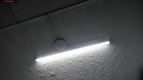 Hey Guys  Im Mollie online show from April 2026 12:08:02 PM