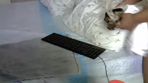 Snapshot of mollynebony chatting on March 2026 10:51:01 AM mollyn online show from March 2026 10:51:01 AM