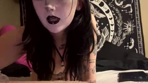 molly online show from April 2026 12:19:01 AM