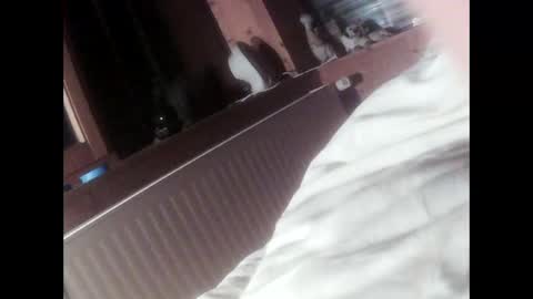 moos1 online show from September 2025 06:42:01 PM