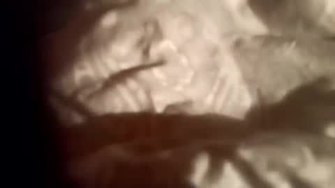 moos1 online show from February 2026 09:05:02 PM