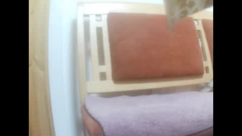 moos1 online show from March 2026 02:47:01 AM