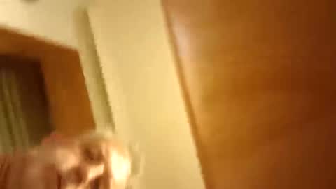 moos1 online show from March 2026 09:40:02 PM