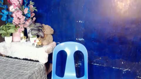 mostwantedtwink online show from March 2026 04:34:02 AM