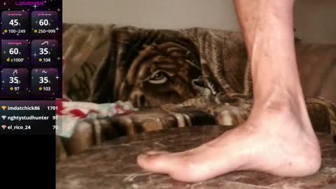 Mr. Good and Ms. Plenty online show from December 2024 06:55:02 AM