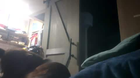 mr_morningstar441 online show from July 2026 07:56:02 AM