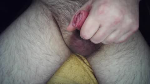 mr_northmann online show from January 2025 11:09:01 PM