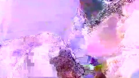 Mr boom online show from June 2026 10:21:02 AM