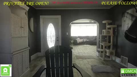 MrBrew online show from February 2025 06:09:02 PM