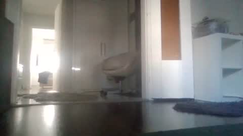 Nikola online show from March 2026 08:20:02 AM