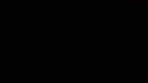 Nikola online show from April 2026 08:41:01 AM