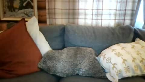 Snapshot of mrpornstar33 chatting on March 2026 04:51:01 PM Twinsoulsex online show from March 2026 04:51:01 PM