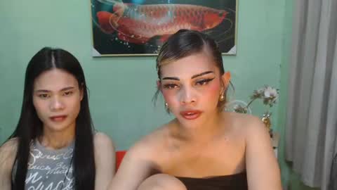 msmeygan online show from June 2026 01:32:02 PM