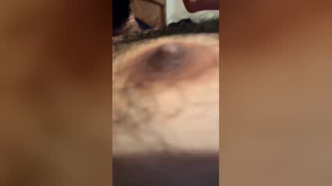 mulattofever_89 online show from February 2026 03:15:01 AM