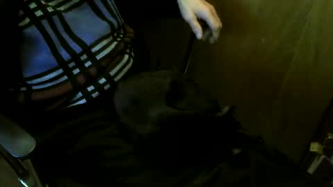 muller520 online show from March 2026 07:35:01 PM