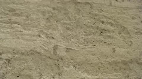 Snapshot of mullty chatting on December 2024 08:36:02 PM Mullty online show from December 2024 08:36:02 PM