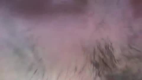 Snapshot of musclehair3 chatting on July 2026 08:11:01 PM musclehair3 online show from July 2026 08:11:01 PM
