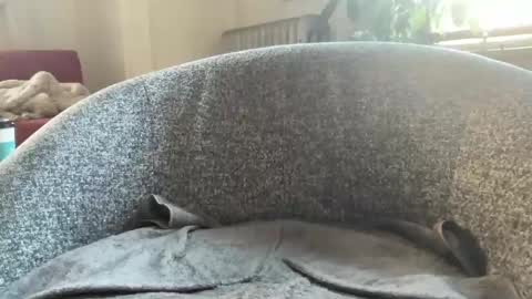 muslgut online show from March 2025 07:05:01 PM