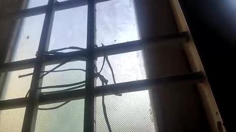 Mysolo1987 online show from April 2026 12:27:01 PM