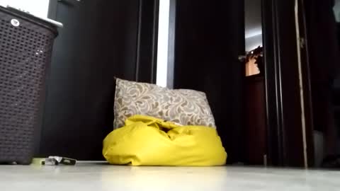 Snapshot of nak3d_lif3 chatting on March 2026 01:37:01 PM nak3d_lif3 online show from March 2026 01:37:01 PM