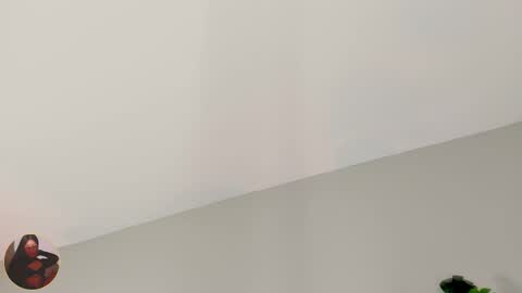 INSTAGRAM  m2221     online show from February 2026 10:00:01 AM