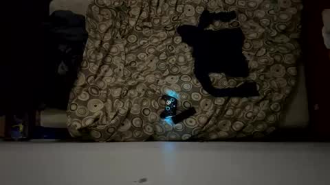 naughty6toy online show from February 2026 05:26:01 AM