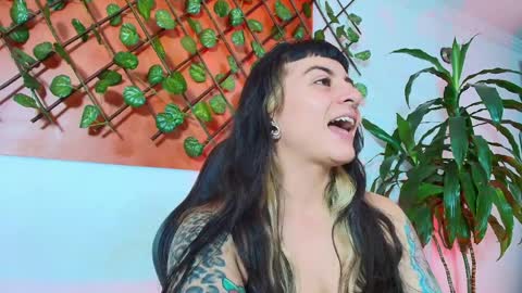 Kitten online show from April 2026 11:15:02 AM