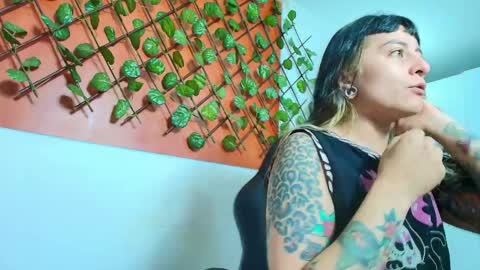 Kitten online show from April 2026 10:52:02 AM