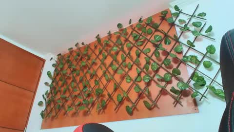 Kitten online show from April 2026 11:27:01 AM