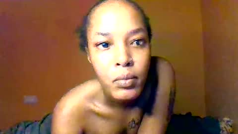 Bree doll online show from June 2026 10:16:02 AM