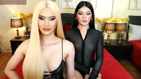 F R A N Z I A online show from March 2026 08:26:33 AM