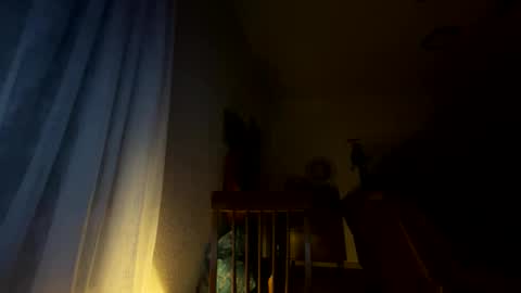 nboss55 online show from October 2025 05:16:02 AM