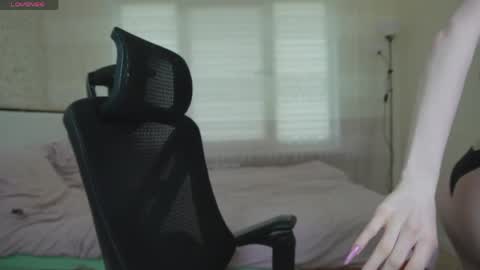 Nellie online show from April 2026 12:09:02 PM