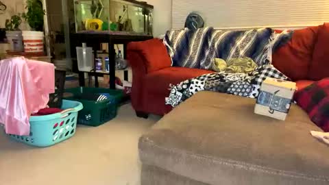 neverwinter44 online show from April 2026 05:19:01 AM