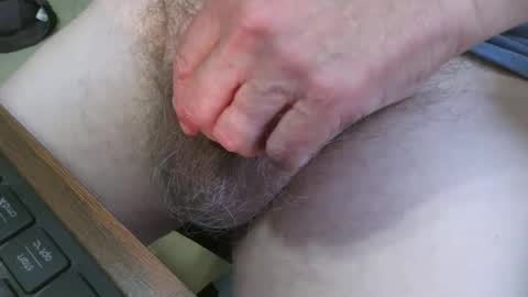 newc09 online show from June 2026 04:40:02 PM