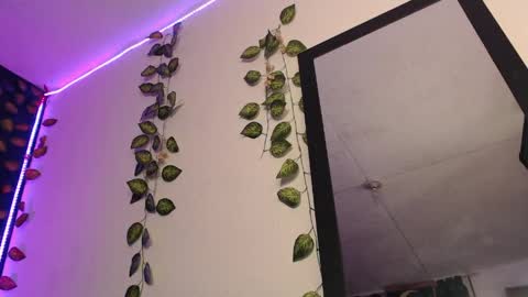  niakat  online show from April 2026 01:49:02 AM