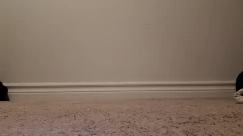 nicoleandbrian online show from December 2024 09:06:02 PM