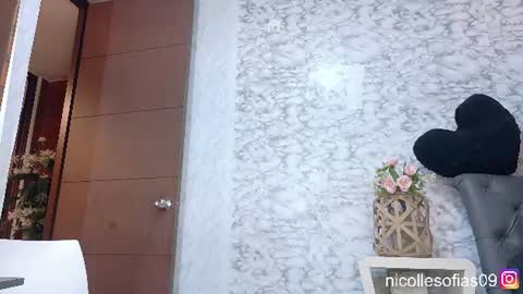 Snapshot of nicolle4 chatting on June 2026 02:22:02 AM nicolle4 online show from June 2026 02:22:02 AM