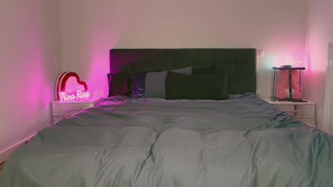 Niinarosee online show from December 2024 07:03:02 PM