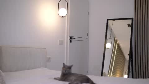 Nicole online show from July 2026 06:43:02 AM